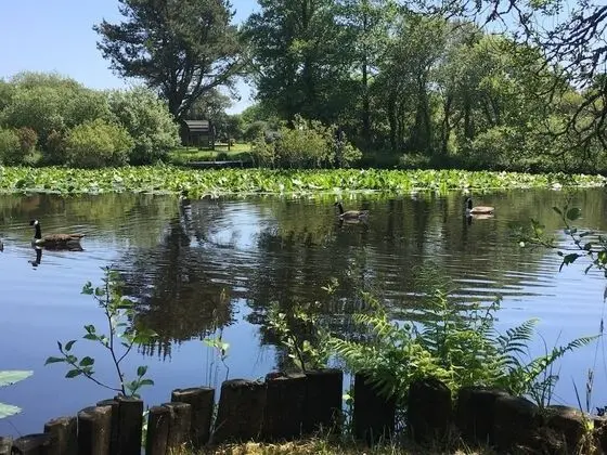 Trecombe Lakes - Dış Mekan