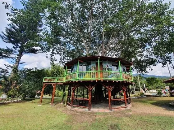 Tree House Finca La Floresta Verde