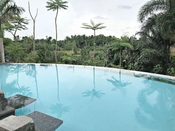 Tree House at Sitio de Amor Leisure Farm - Havuz