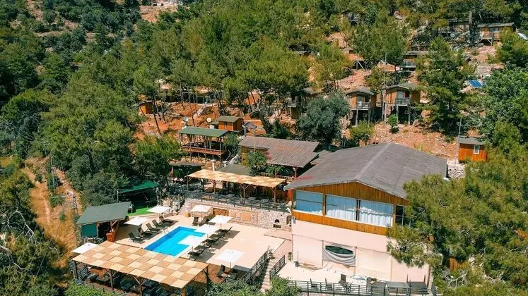 Tree Houses