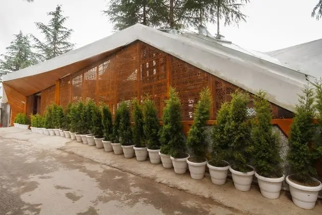 Tree of Life Eila Art Hotel - Dış Mekan