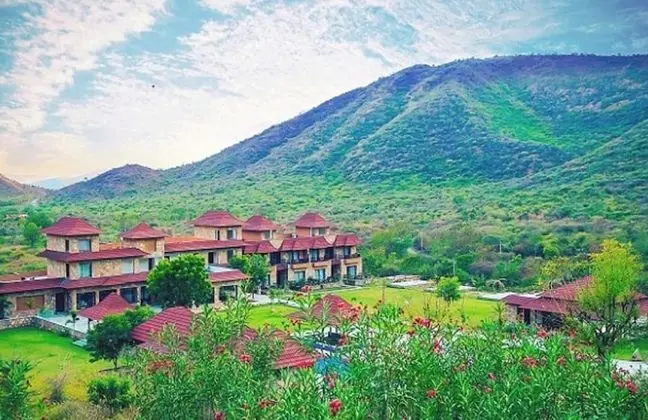 Tree of Life Resort, Udaipur - Öne Çıkan Resim