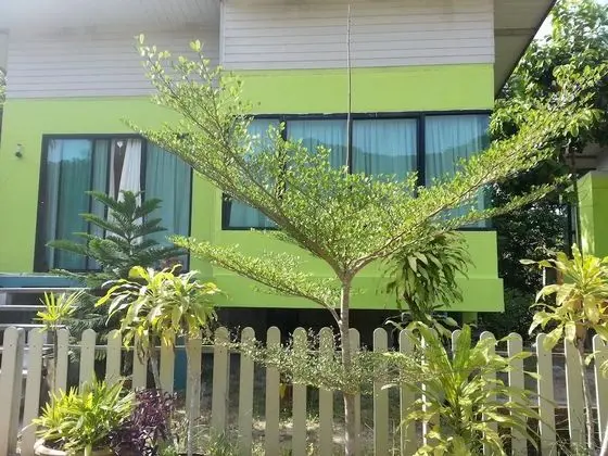 The Tree Madauwan - Dış Mekan