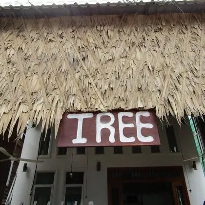 Tree Siem Reap Apartments - Dış Mekan