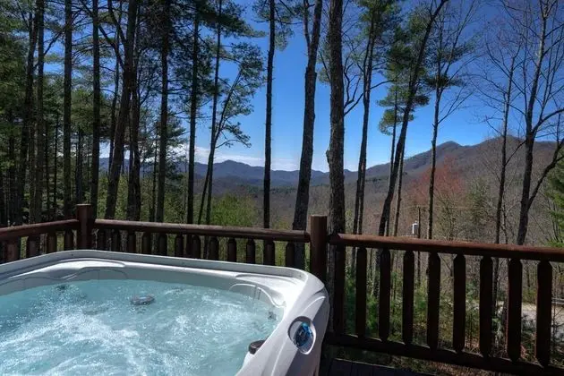 Tree Top Getaway Log House with Views | NFL Sunday Ticket Included - Havuz