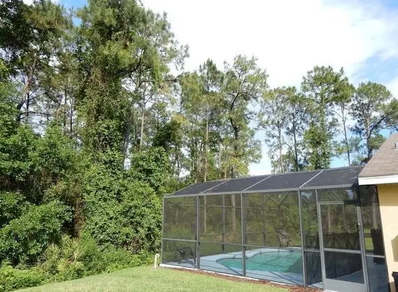 Tree Top Retreat - Havuz