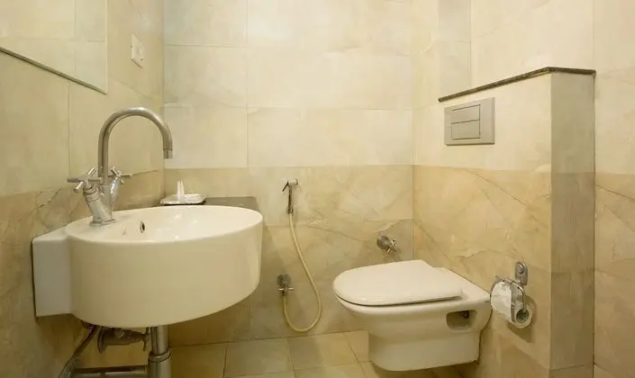 Treebo Stay Inn International - Banyo Tipleri