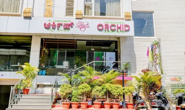Treebo Trend Orchid