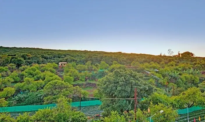 Treebo Trend Shivay Resort