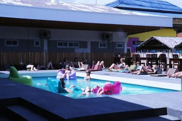 Treechart Hostel - Öne Çıkan Resim