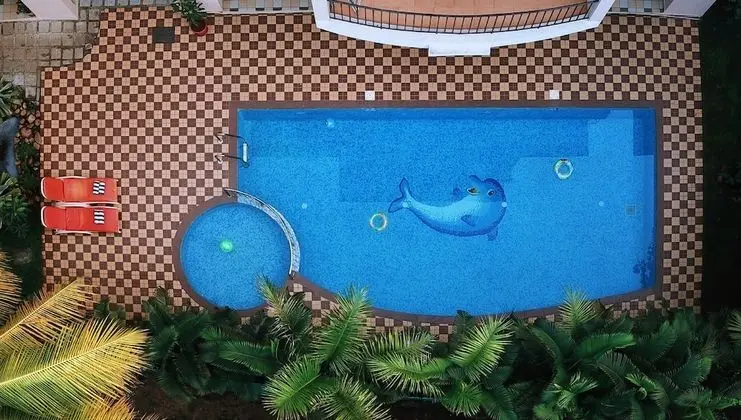 Treehouse Blue Service Apartment - Havuz