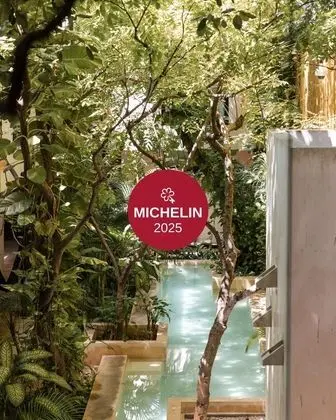 TreeHouse Boutique Hotel - Öne Çıkan Resim