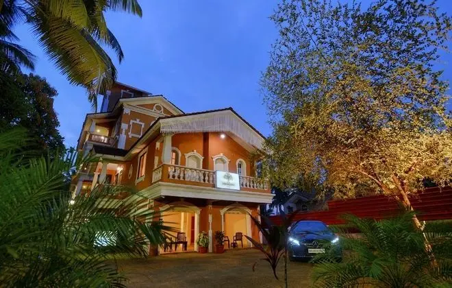 Treehouse Nova