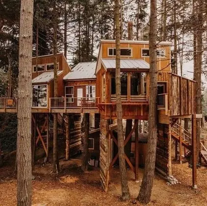 Treehouse over the water - Eagle's Nest