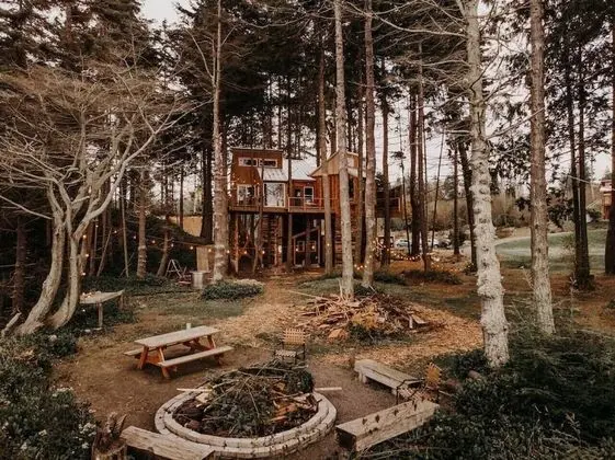 Treehouse over the water - Eagle's Nest - Öne Çıkan Resim