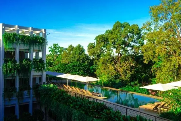 Treeline Urban Resort - Havuz