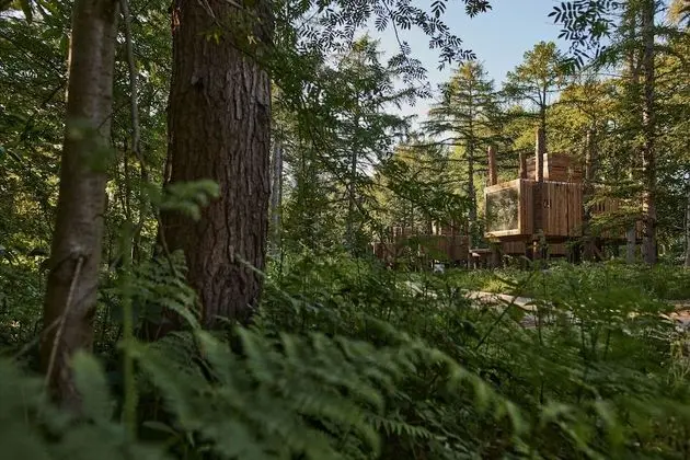 Treeloft Adventure in Nature for 4 People 13