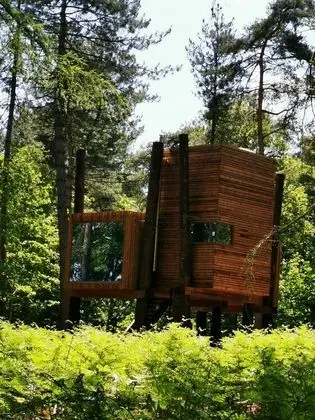 Treeloft Adventure in Nature for 4 People 16 - Mülk Olanakları