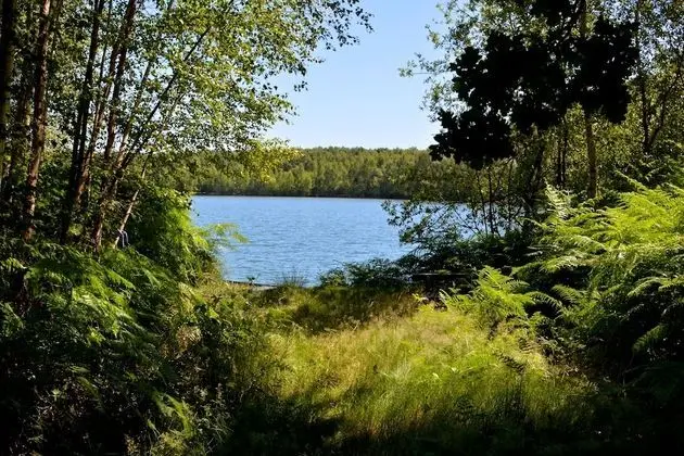Treeloft Adventure in Nature for 4 People 17 - Öne Çıkan Resim