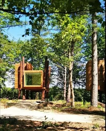 Treeloft Adventure in Nature for 4 People 5 - Mülk Olanakları