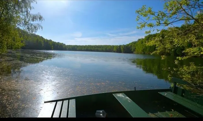 Treeloft Adventure in Nature for 4 People 5 - Mülk Olanakları