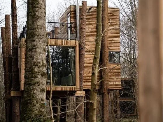 Treeloft Adventure in Nature for 4 People 5 - Mülk Olanakları