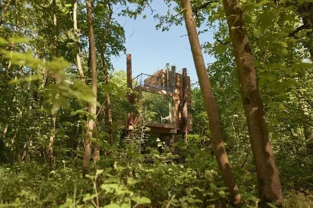Treeloft Adventure in Nature for 4 People 6 - Mülk Olanakları