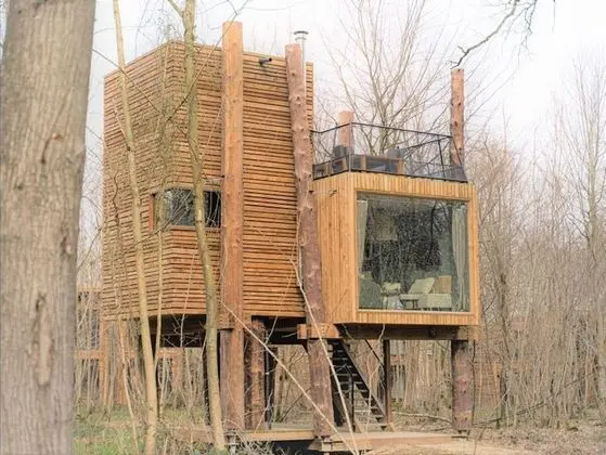 Treeloft Adventure in Nature for 4 People 8 - Mülk Olanakları