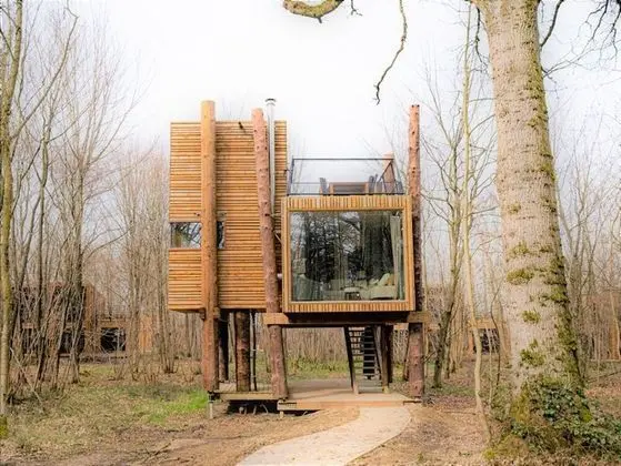 Treeloft Adventure in Nature for 4 People 8 - Mülk Olanakları