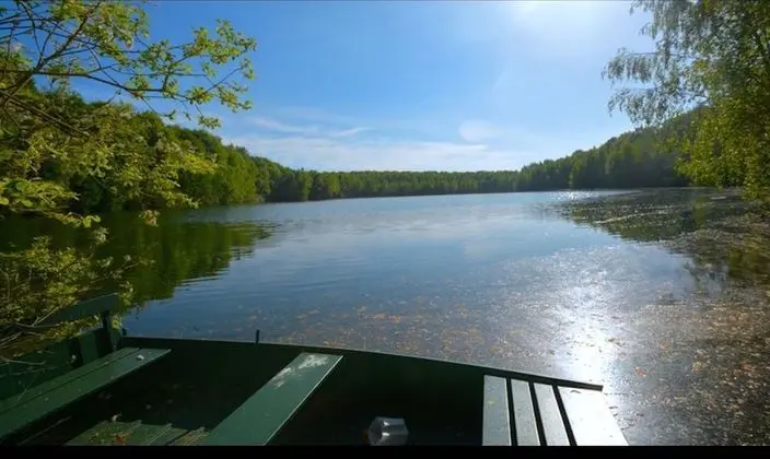 Treeloft Adventure in Nature for 4 People 8 - Mülk Olanakları