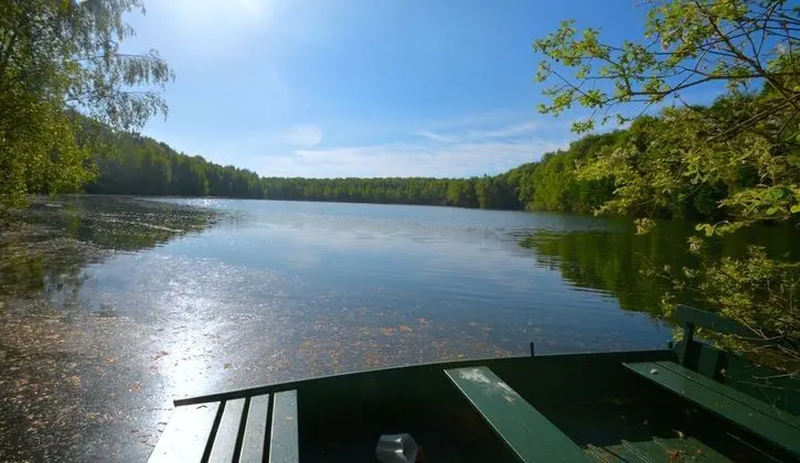 Treeloft Adventure in Nature for 4 People 8 - Mülk Olanakları