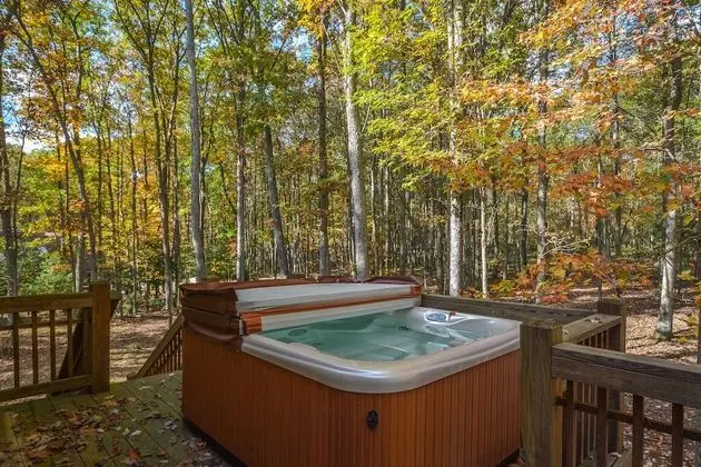 Trees, Breeze and Skis 3 Bedroom House - Havuz