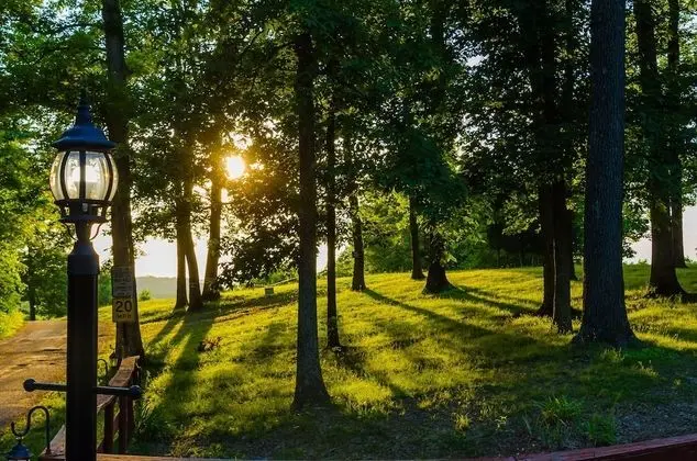 Treetop Retreat - Dış Mekan