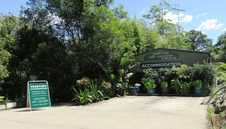 Treetops Accommodation Montville - Lobi