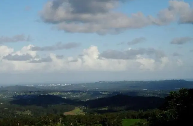 Treetops Accommodation Montville - 1