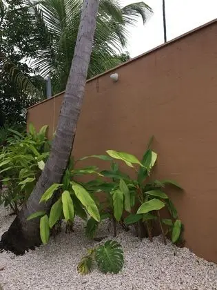 Tres Palmas Inn & Villas - Lobi