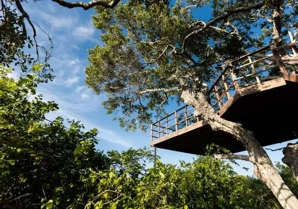 Tribe Yala - Luxury Camping - Dış Mekan