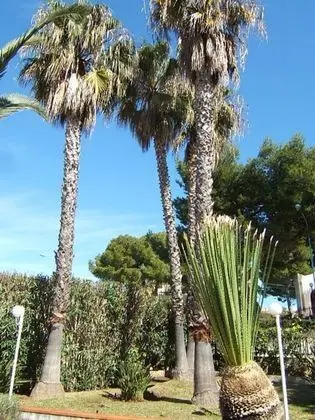 Trilocale In Villa Con Piscina - Clima E Wi-fi - Dış Mekan