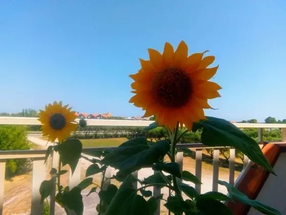 Triple Room for Rent With Private Bathroom in Molise - Wifi