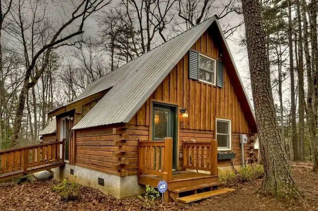 Triple Treat- Rustic Cabin Near Blue Ridge