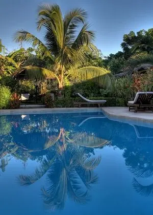 Tropic Hôtel - Havuz