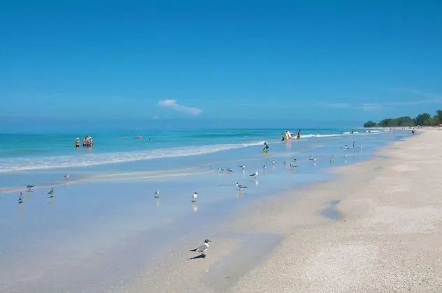 Tropic Isle at Anna Maria Island Inn - Plaj