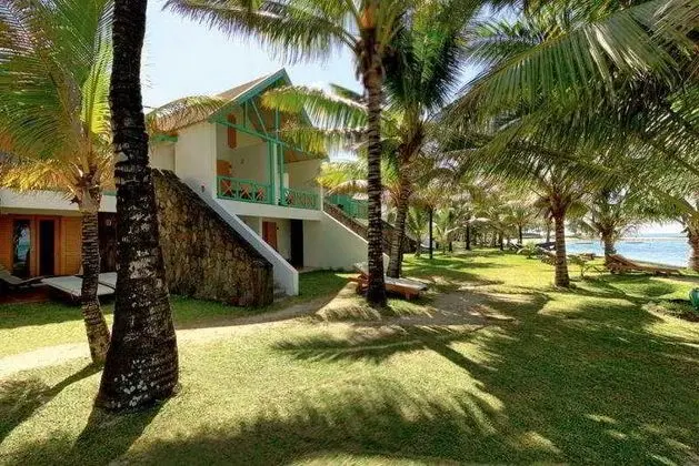 Tropical Attitude