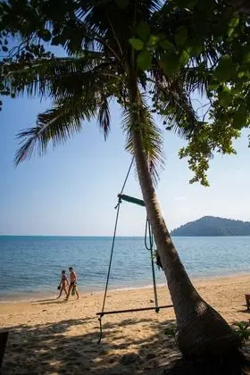The Tropical Beach Resort - Dış Mekan