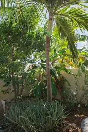 Tropical Divers Resort - Dış Mekan