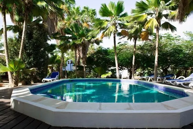 Tropical Divers Resort - Havuz