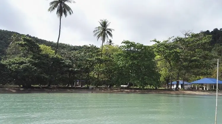 Tropical Eco Camping - Dış Mekan