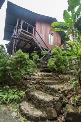 Tropical Garden Bungalow - Dış Mekan