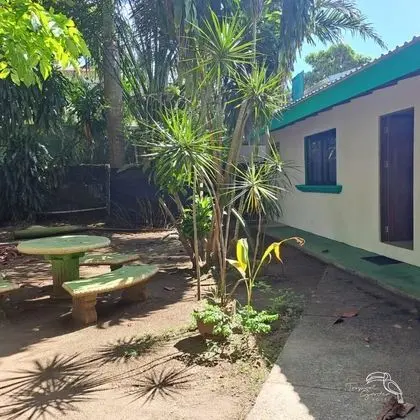 Hotel Tropical Garden - Dış Mekan