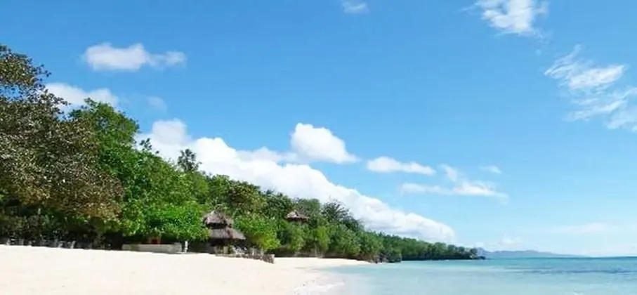 Tropical Hostel Cebu Center - Plaj